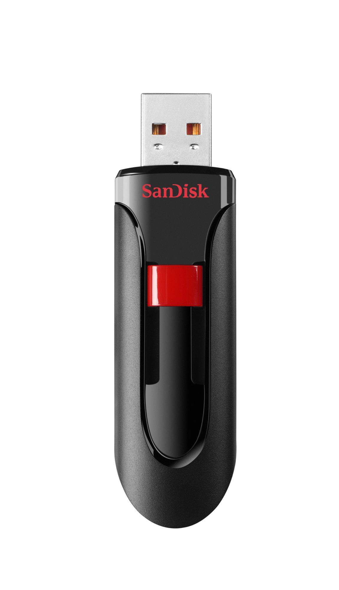 Sandisk Memory Drive Flash Usb2 256Gb/Sdcz60-256G-B35