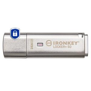Kingston Memory Drive Flash Usb3.2 256GB