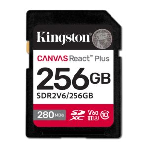 Kingston Memory Sdxc 256Gb Uhs-Ii/Sdr2V6/256Gb