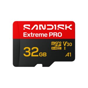 Sandisk Memory Micro Sdhc 32Gb Uhs-I/Sdsqxco-032G-Gs6Ma