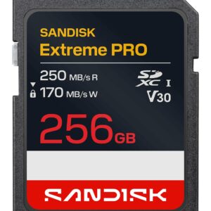 Sandisk Memory Sdxc 256Gb Uhs-1/Sdsdxxj-256G-Gscin